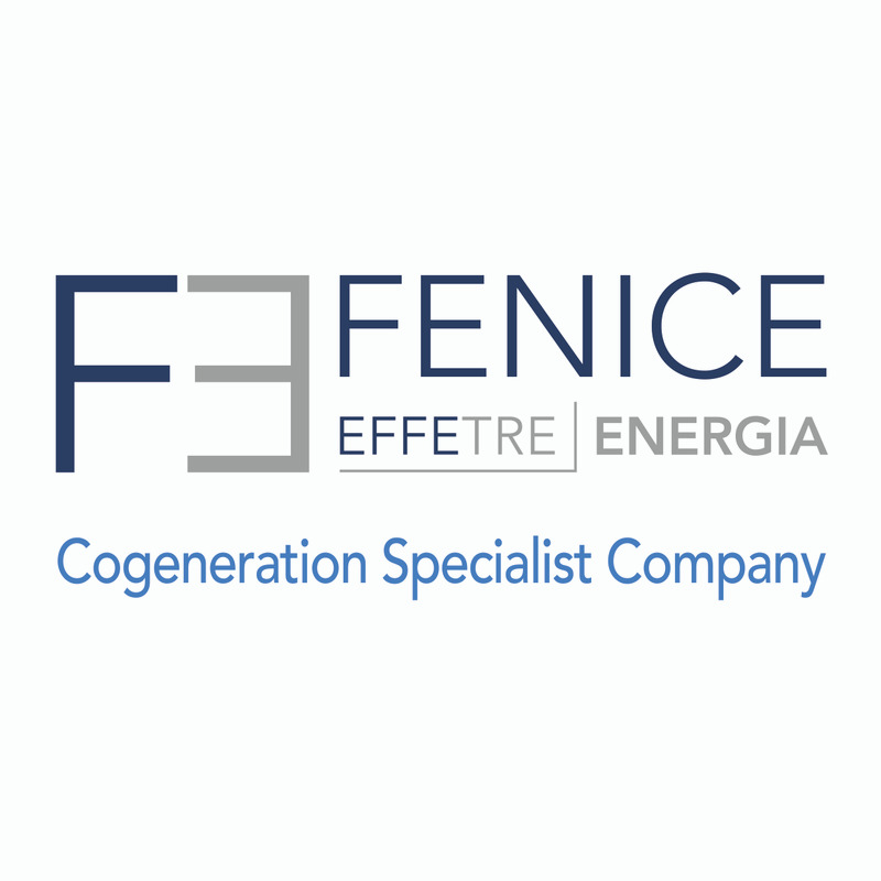 Effetre Fenice Energia Srl