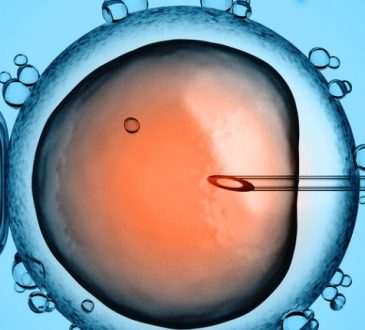 A fine 2018 sono 641 le imprese biotech attive in Italia, il fatturato generato è superiore agli 11,5 miliardi di euro