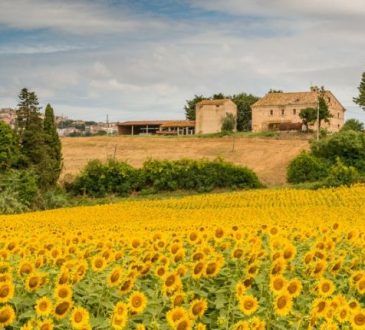 Regione Marche al Meeting di Rimini: il post sisma come fatto culturale