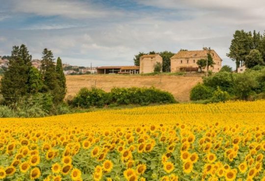 Regione Marche al Meeting di Rimini: il post sisma come fatto culturale