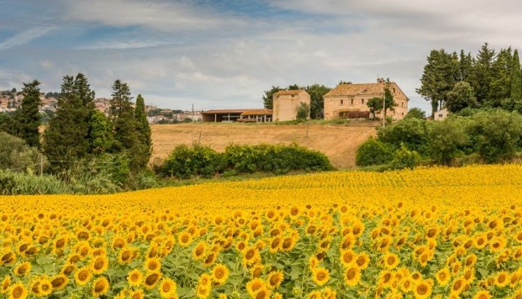 Regione Marche al Meeting di Rimini: il post sisma come fatto culturale