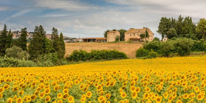 Regione Marche al Meeting di Rimini: il post sisma come fatto culturale