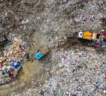 Costi delle bonifiche ambientali: il proprietario del terreno è obbligato!