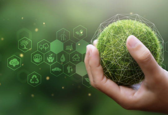 Bioarchitettura: i progettisti bio dell'ingegneria