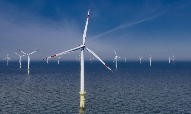 Eolico onshore vs offshore: analisi tecnica, rendimento e sfide infrastrutturali della produzione energetica del futuro