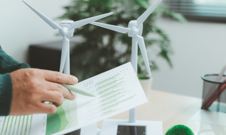 Sustainability Manager: chi è, cosa fa e perché è sempre più decisivo per le imprese